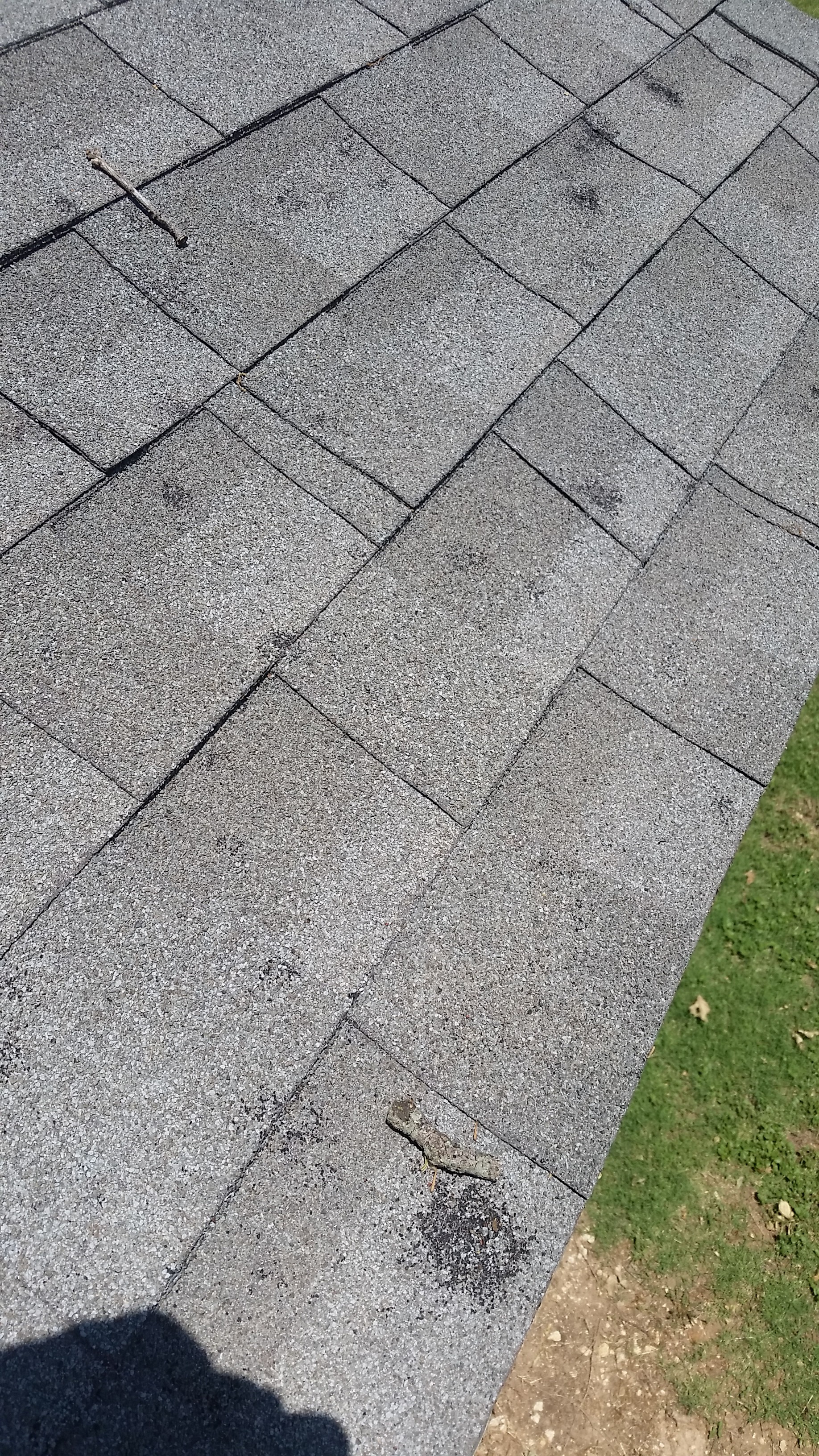 Close-up storm damage on asphalt shingles requiring replacement