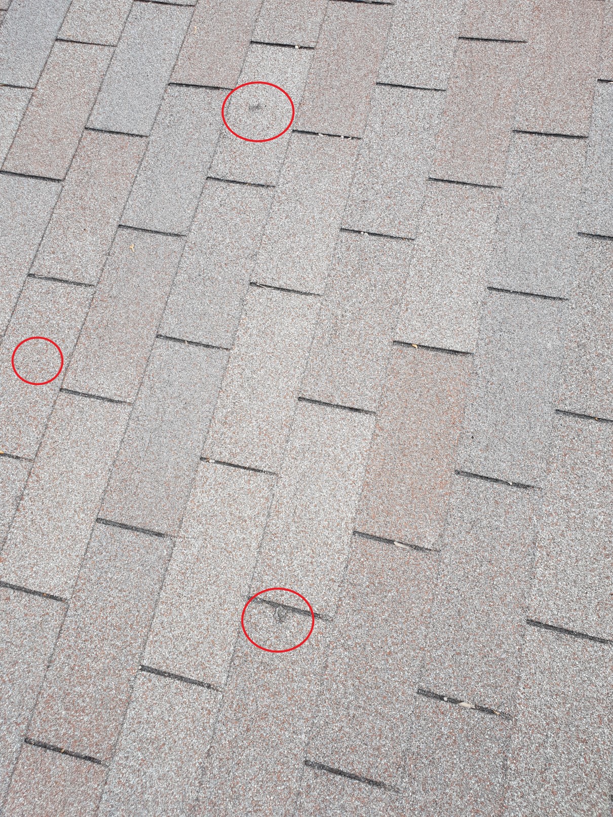 Hail damage on asphalt shingles with circled impact marks — Heritage Roofing inspection