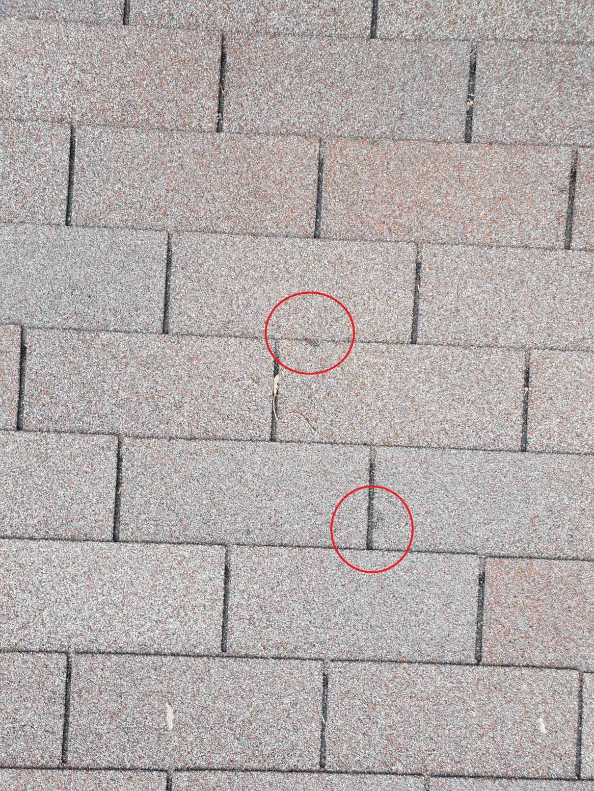 Close-up hail damage marks on asphalt shingles in Central Texas